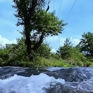 一个年轻的老头👴🏻