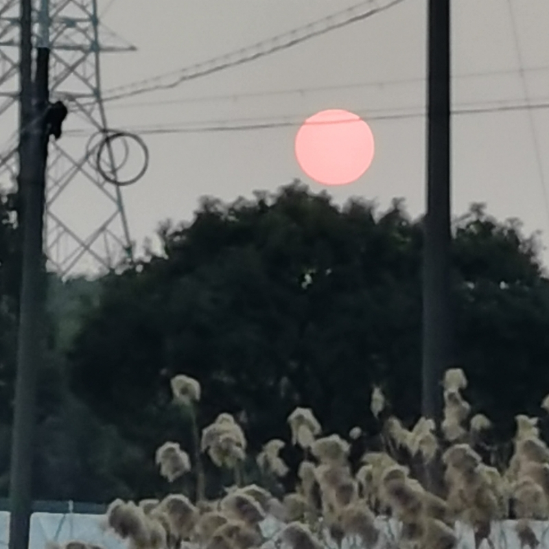 菜酌盐