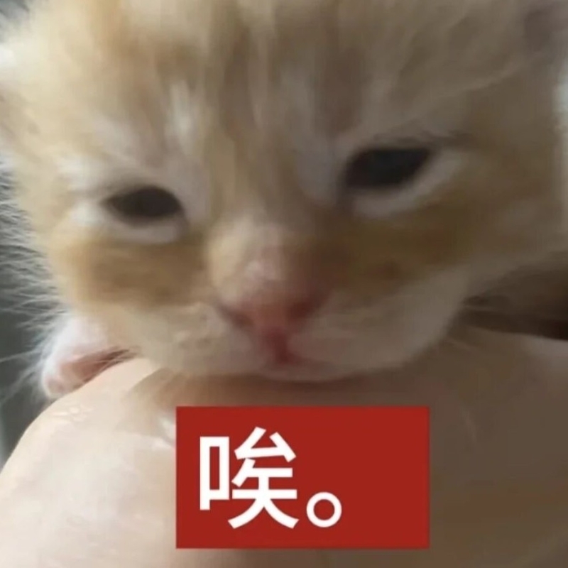 平平无奇的小孩歌