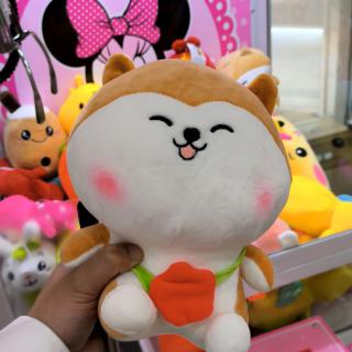 高杨