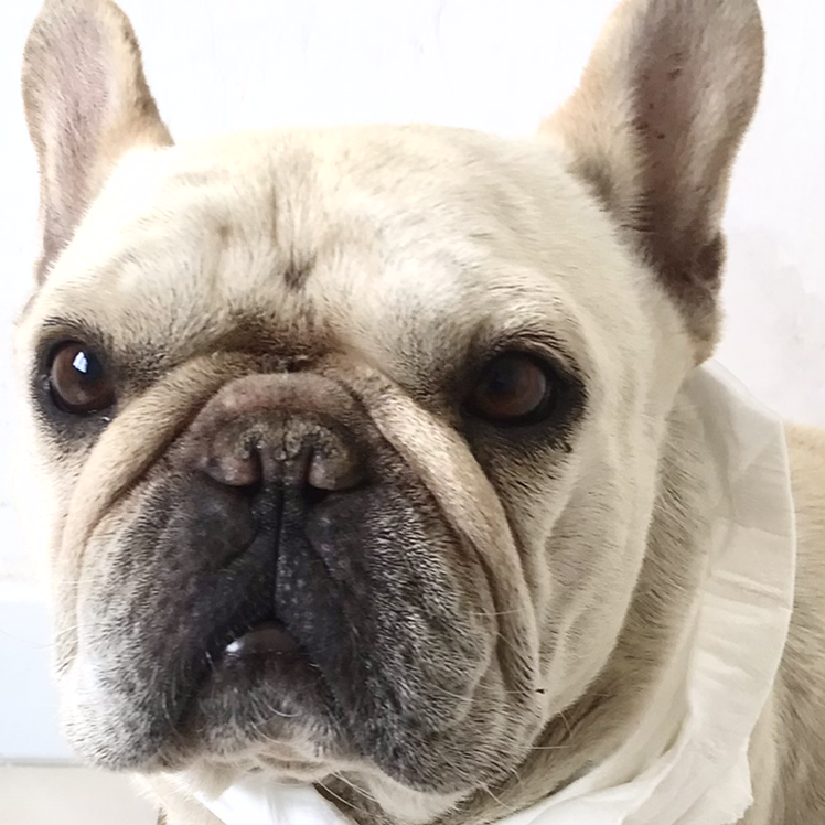 拍11133个选项都可以😌！你