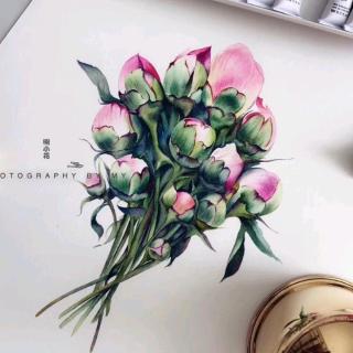 瀛九