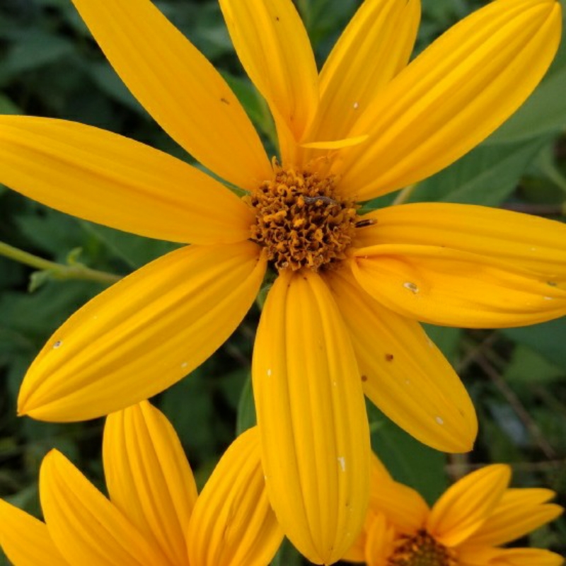 伊君隍孫智國永劼