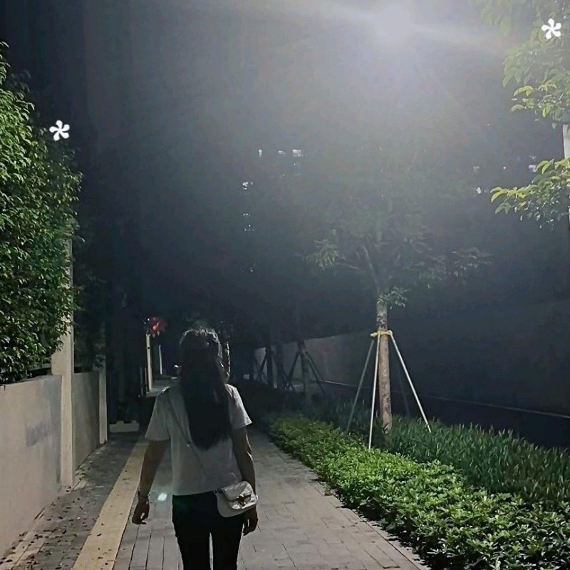 沉默的向日葵
