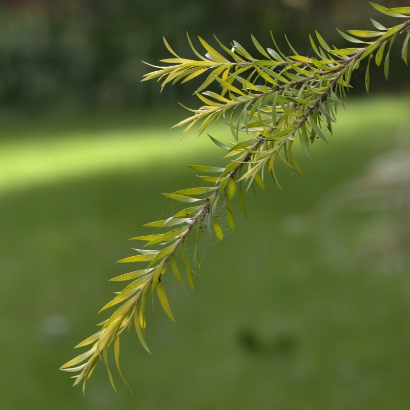 梦醒时分^ _ ^