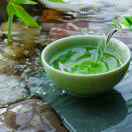 爱饮茶的博博