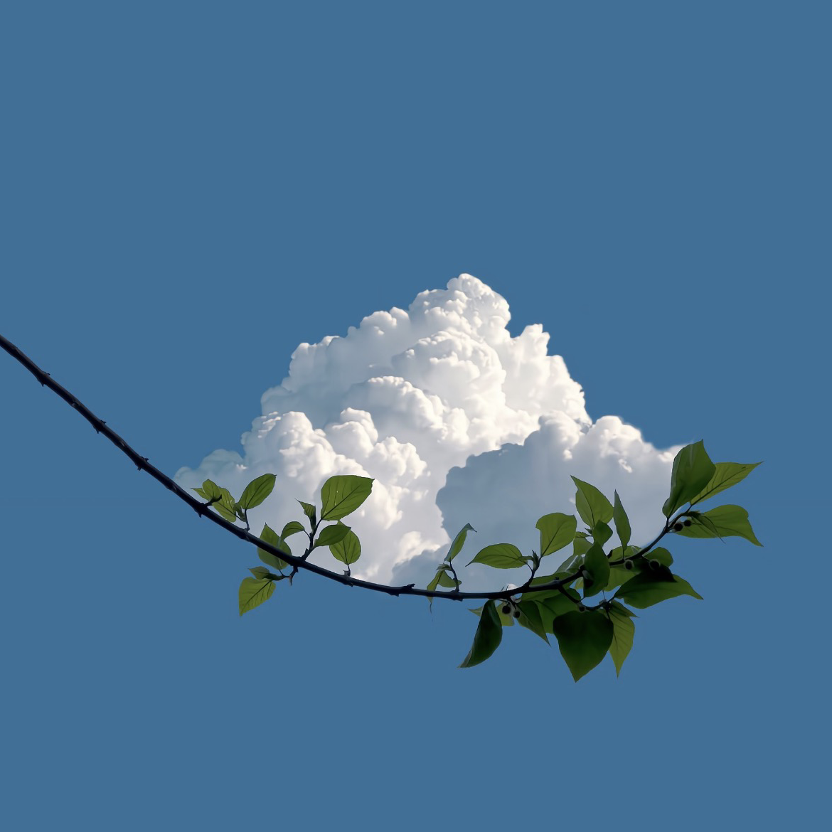 ᖭི༏ᖫྀ␆␡ོ 等