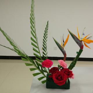 芝麻wa