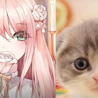 萝莉猫