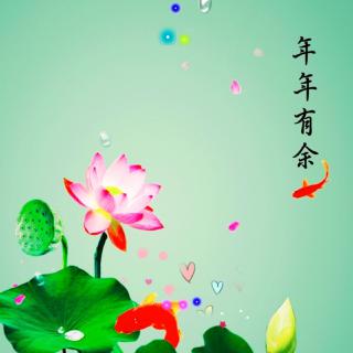 一只不吃米的猫咪