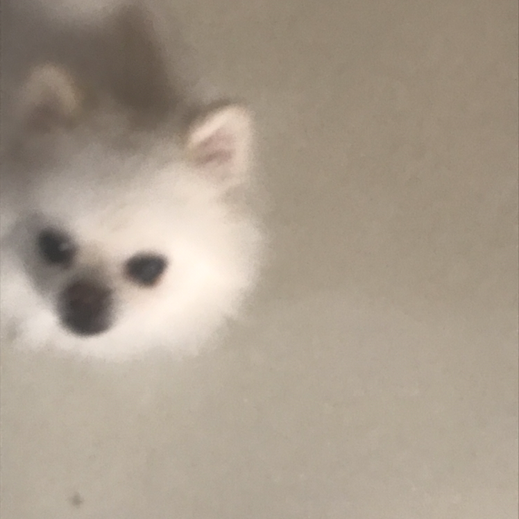 我不是彭于晏