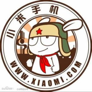 周总的小米mix4