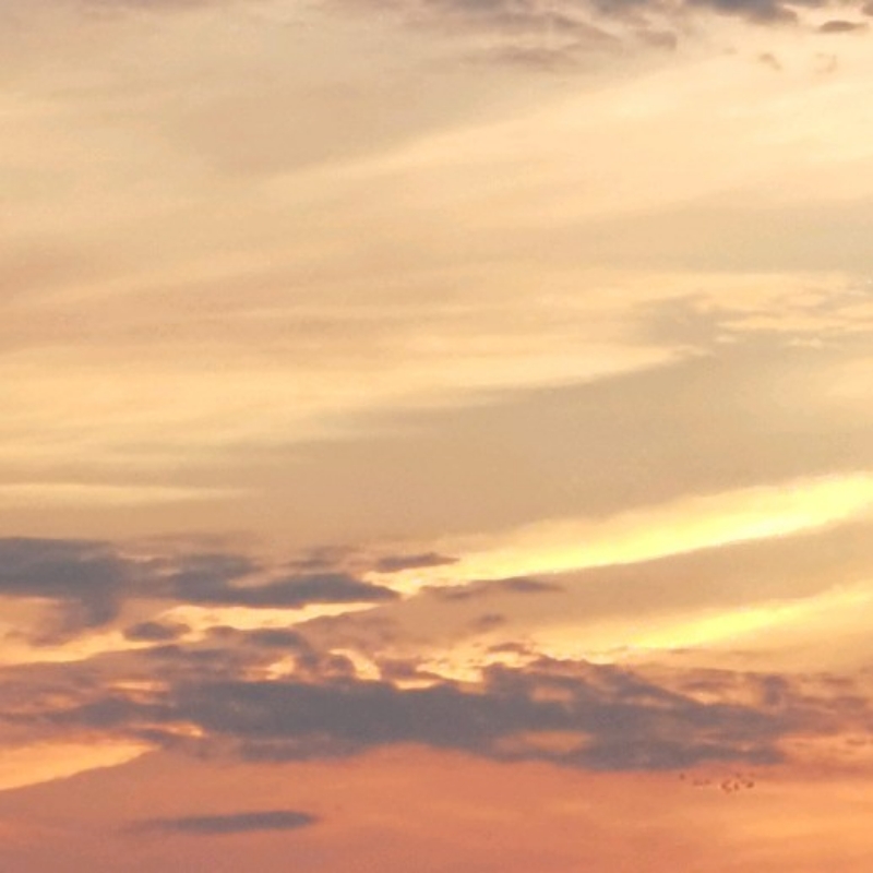 叶子宝宝😇😇😇