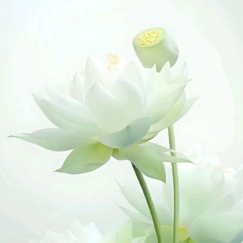 风平浪静77