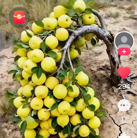 人生如戏~戏如人生