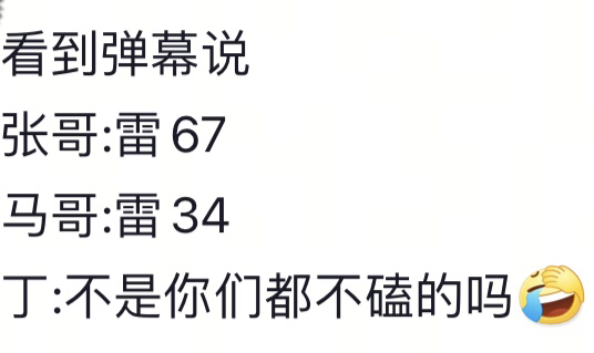 文轩豹猫