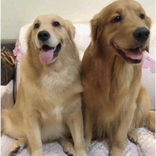 张婷