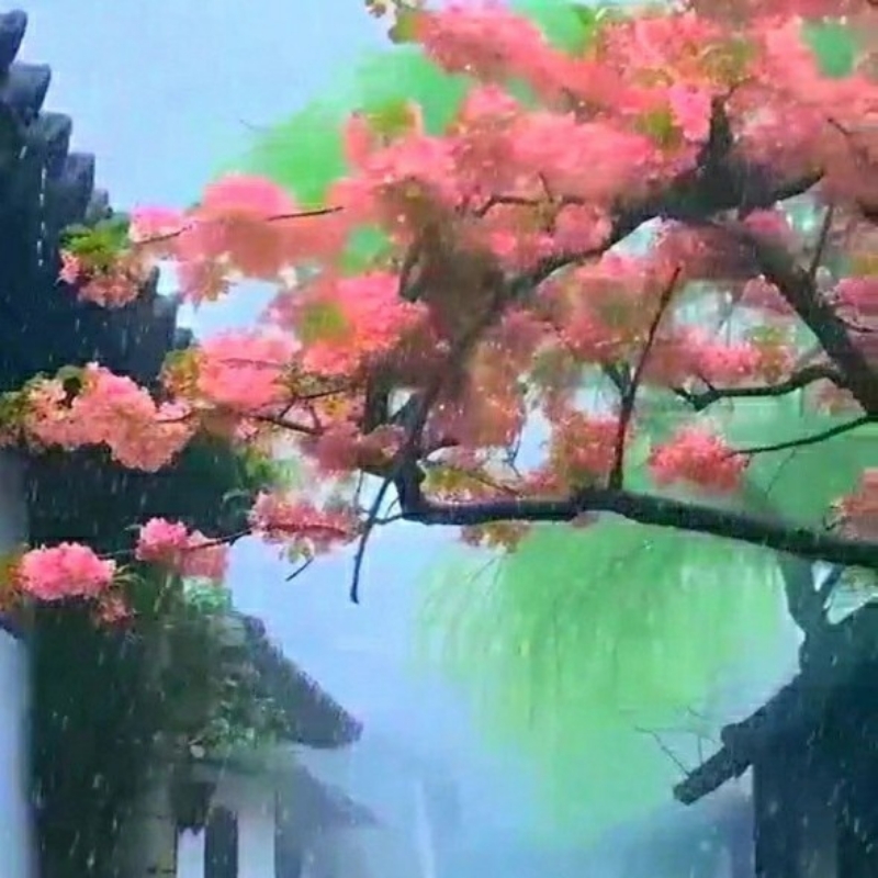 梦醉江南雨
