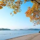 似水流年