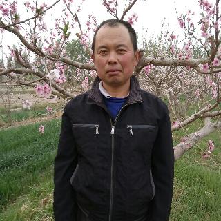 云淡风轻