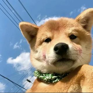 孤影