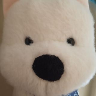 世界上没有如果