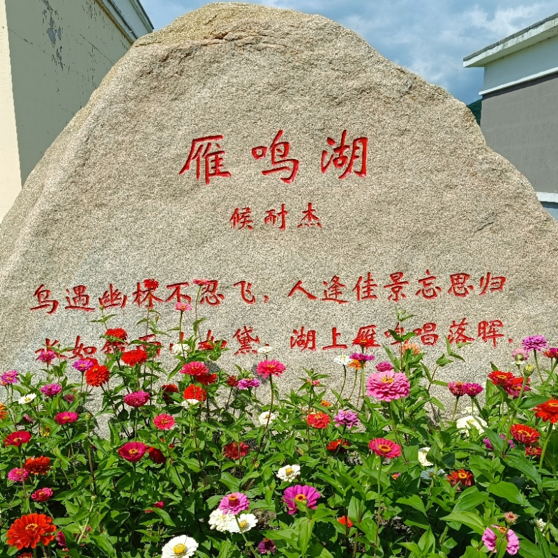 今天