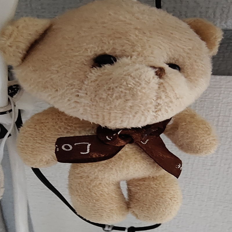 梨木镇