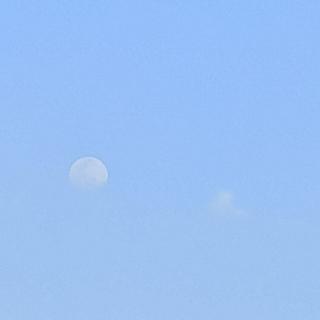 longshu78
