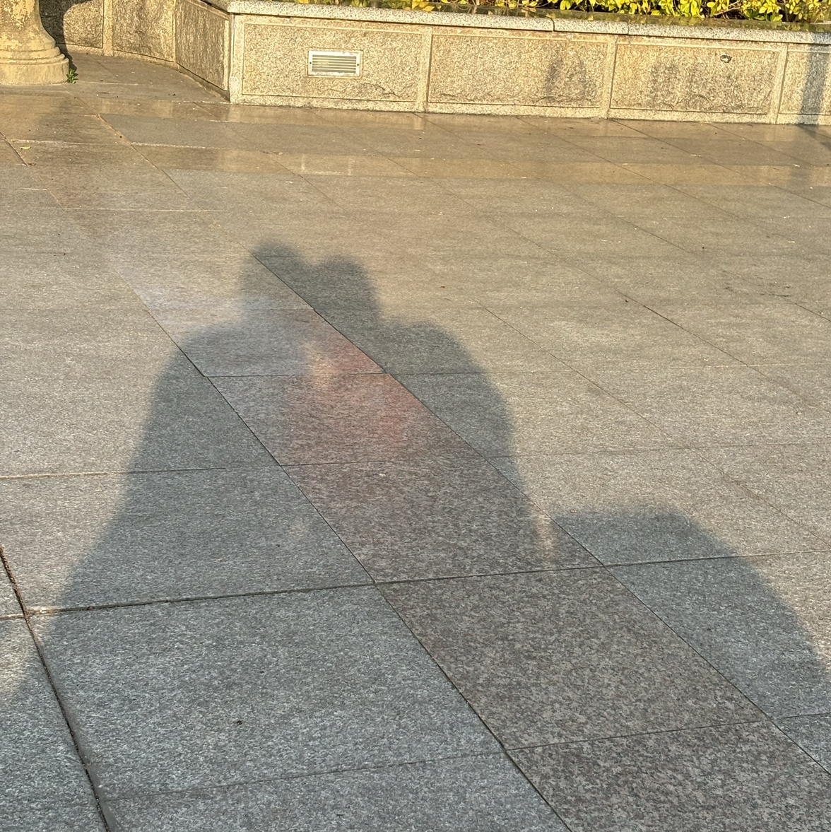 江南一笨虫