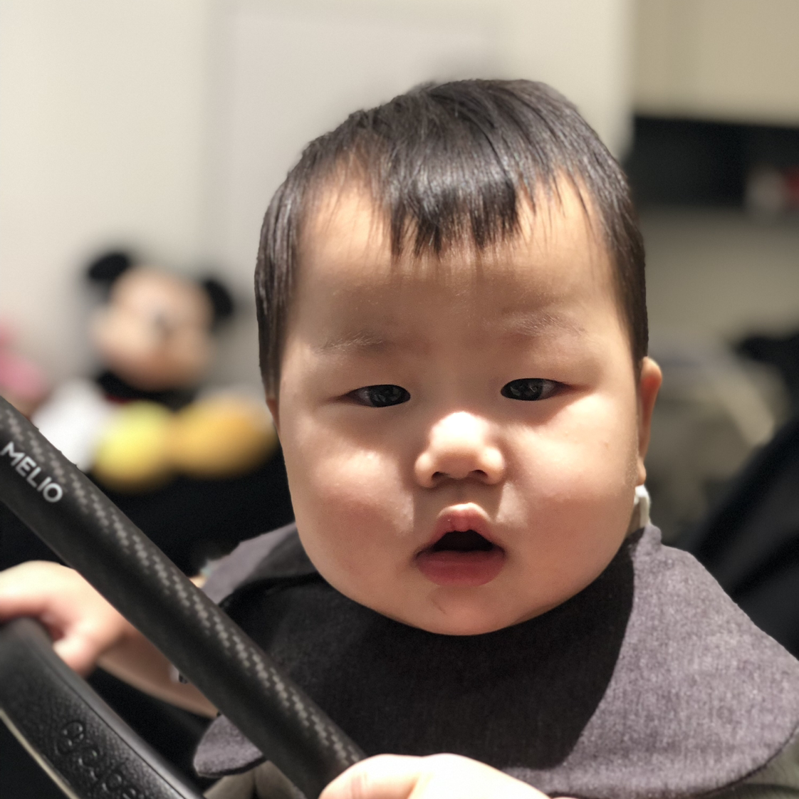苏智健