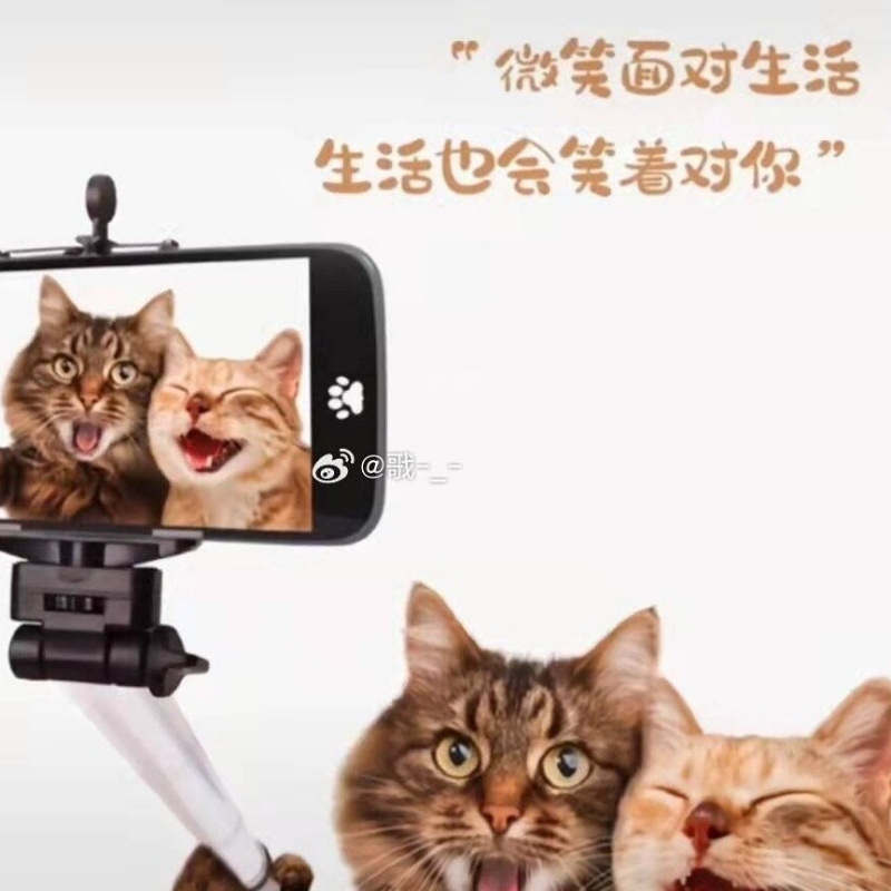 这一阙漫夏的忧伤