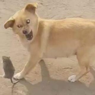 慢慢