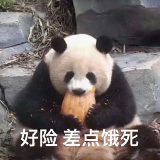 幸运女神在微笑