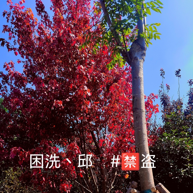 困洗丶粤