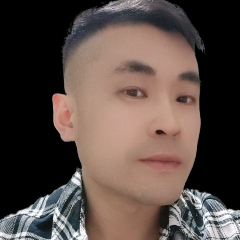 回来我的爱