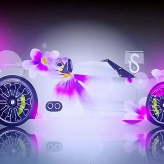ℳ๓花落ꦿ亦不离້໌ᮨꦿ᭄