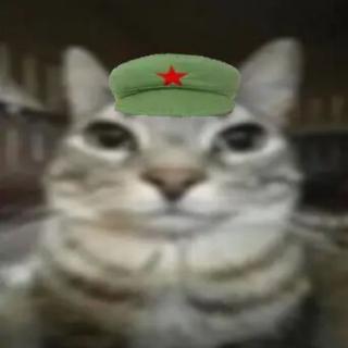 屁师