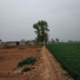 ༺打工闯天下༻