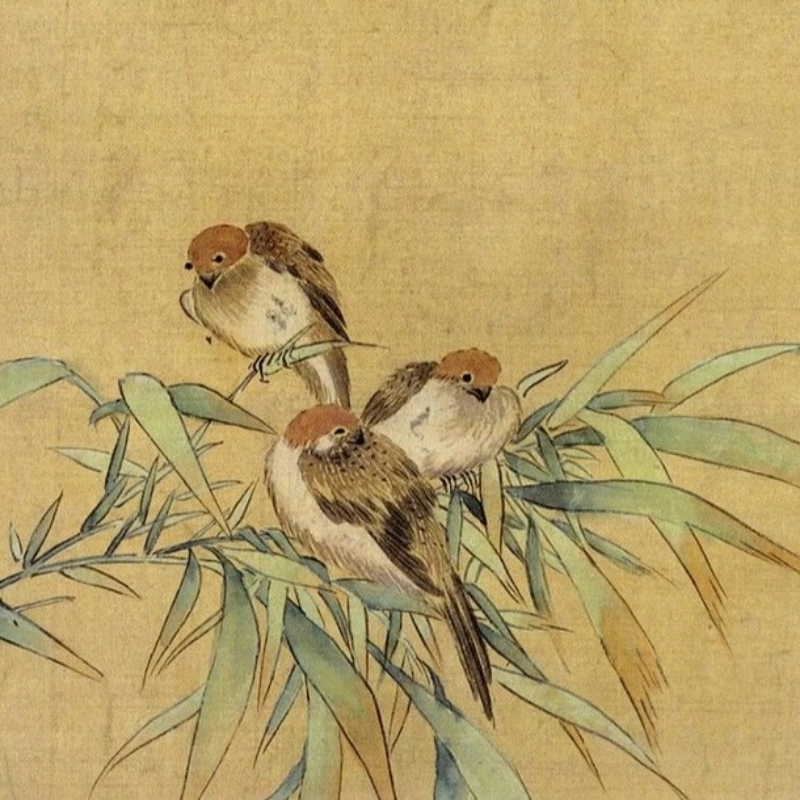 泡沫🫧