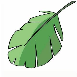 芭蕉大哥