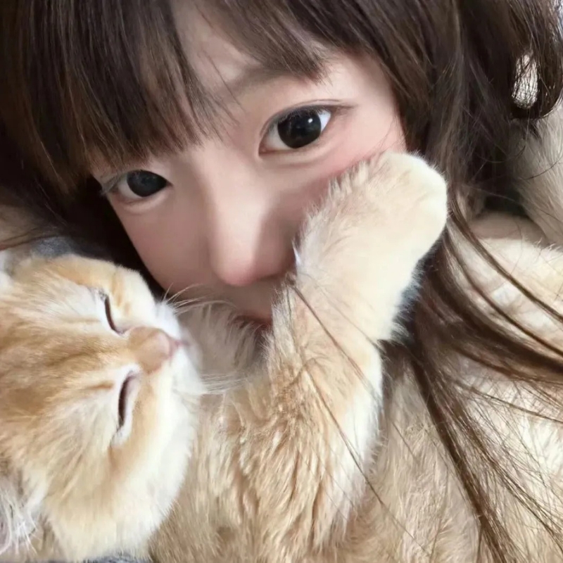 小鹿是小陆喔