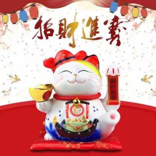 小马哥