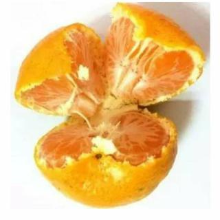 滨铁