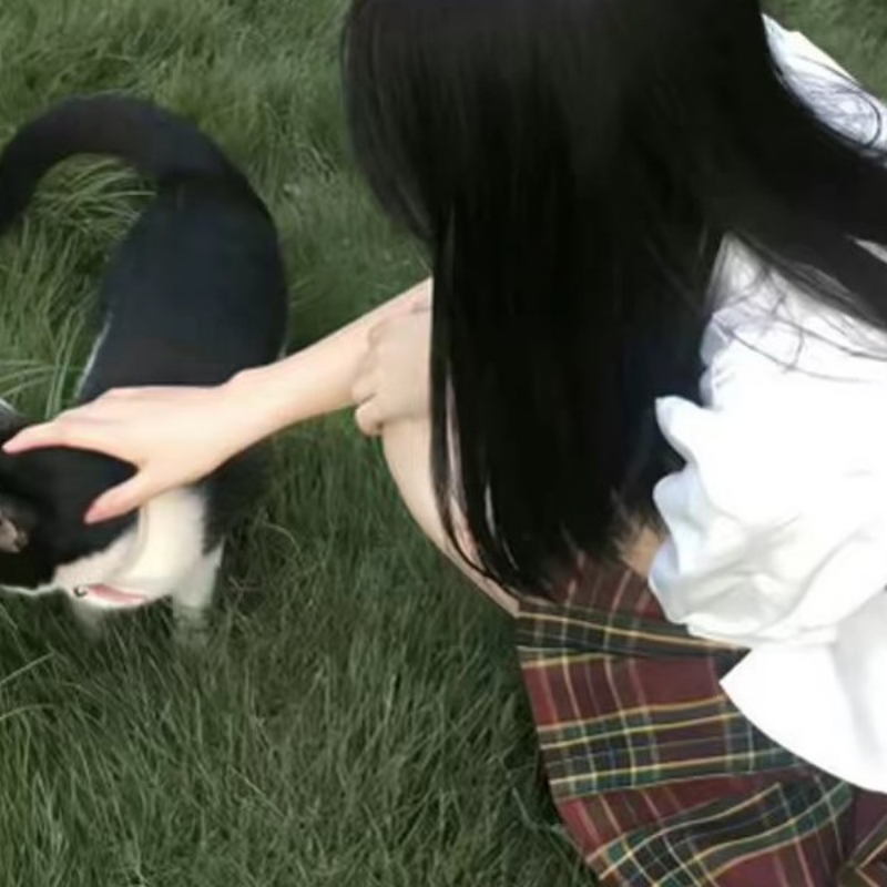 安琴88