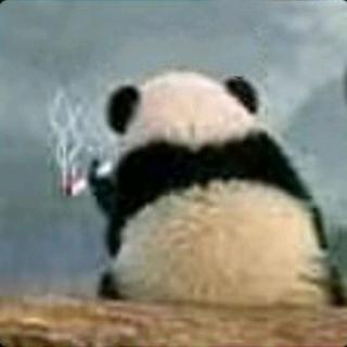 初们彩苟史