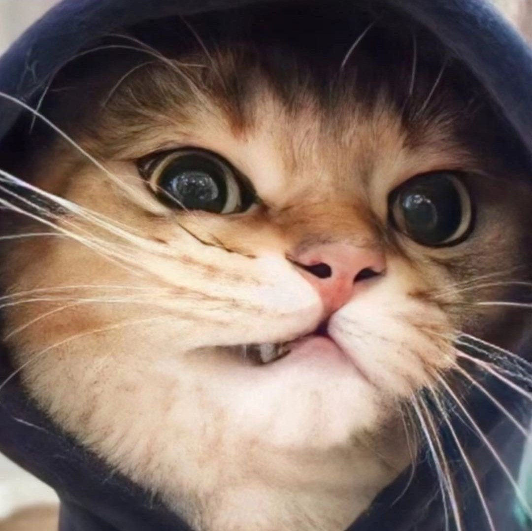 颀颀