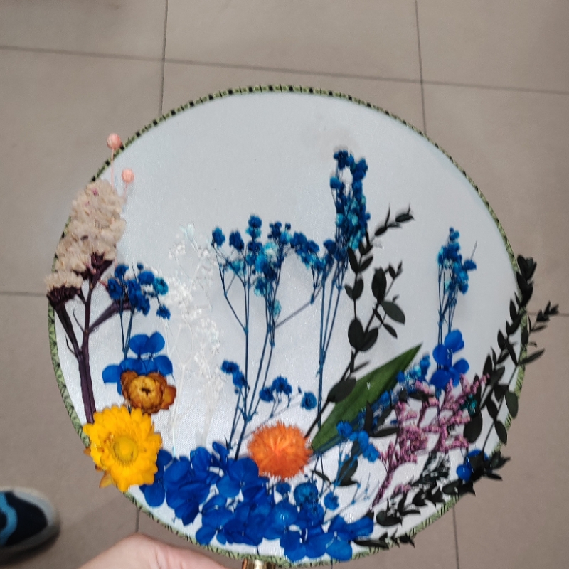 豆豆