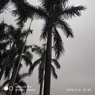 郝明