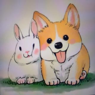 砂糖
